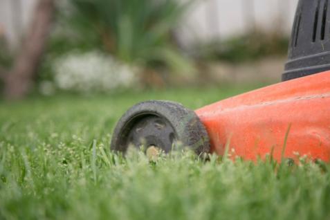 tonte de jardin avec tondeuse